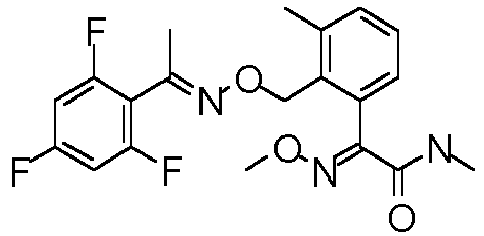 Figure imgb0481