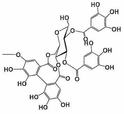 Figure JPOXMLDOC01-appb-C000014