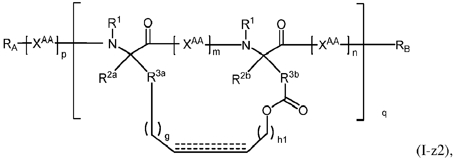 Figure imgb0305