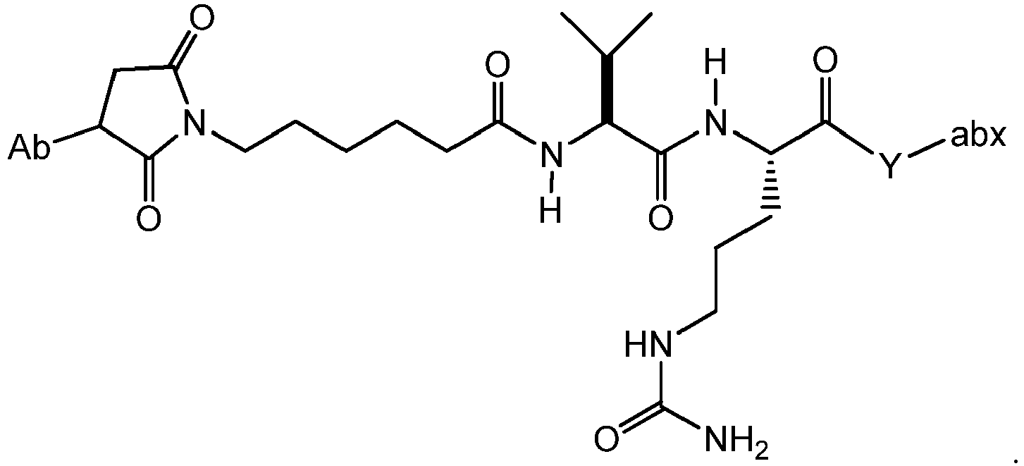 Figure imgb0145