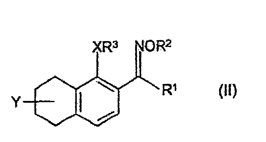 Figure 00300001