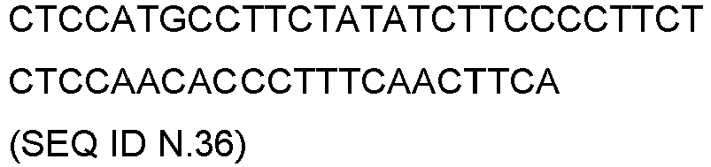 Figure imgb0036