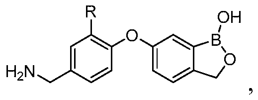Figure imgf000077_0002