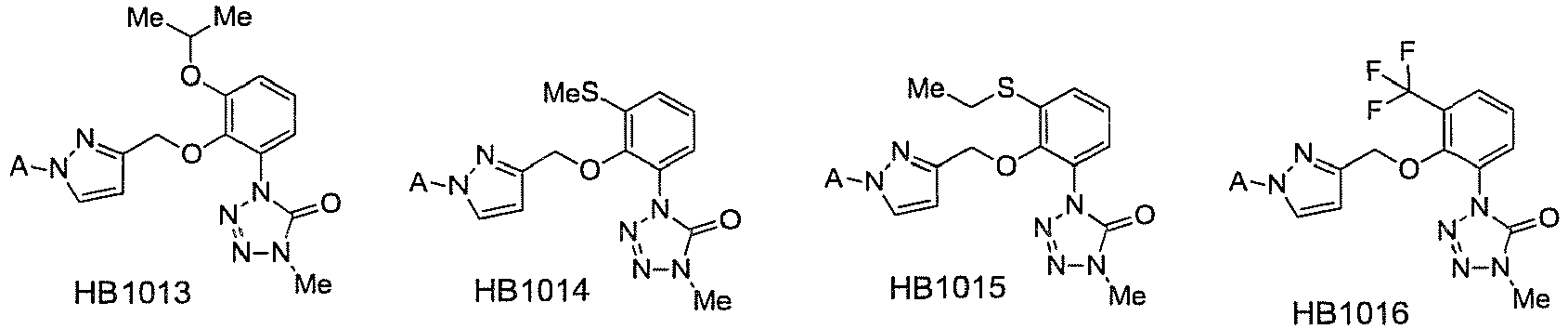 Figure imgb0117