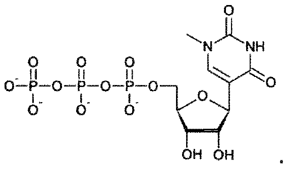 Figure imgf000035_0004
