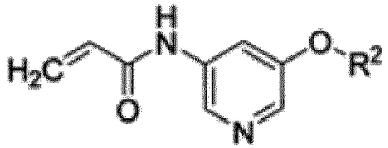 Figure imgb0144
