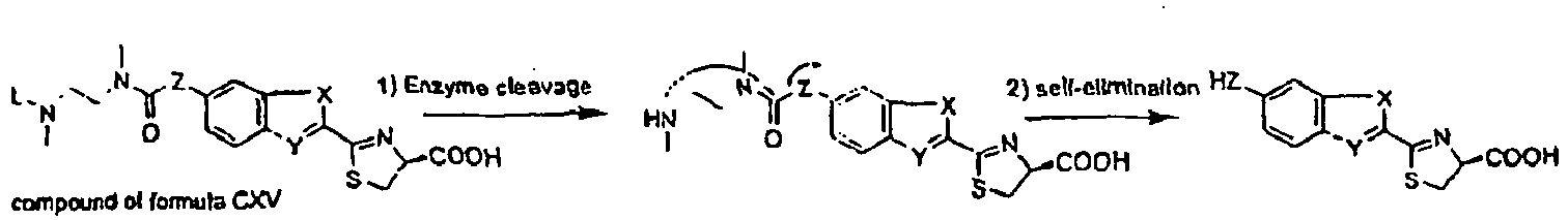 Figure imgb0074