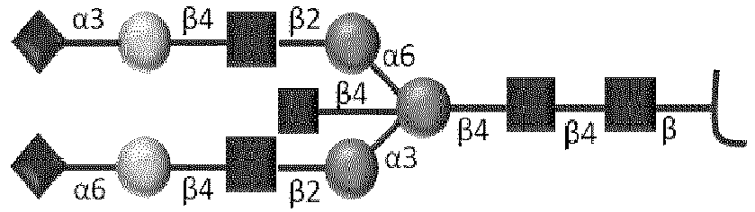 Figure imgb0025