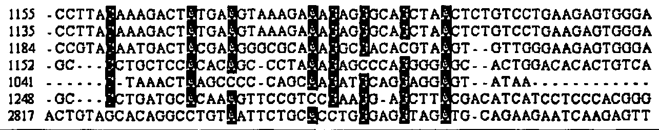 Figure imgf000029_0005