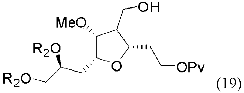 Figure imgb0019