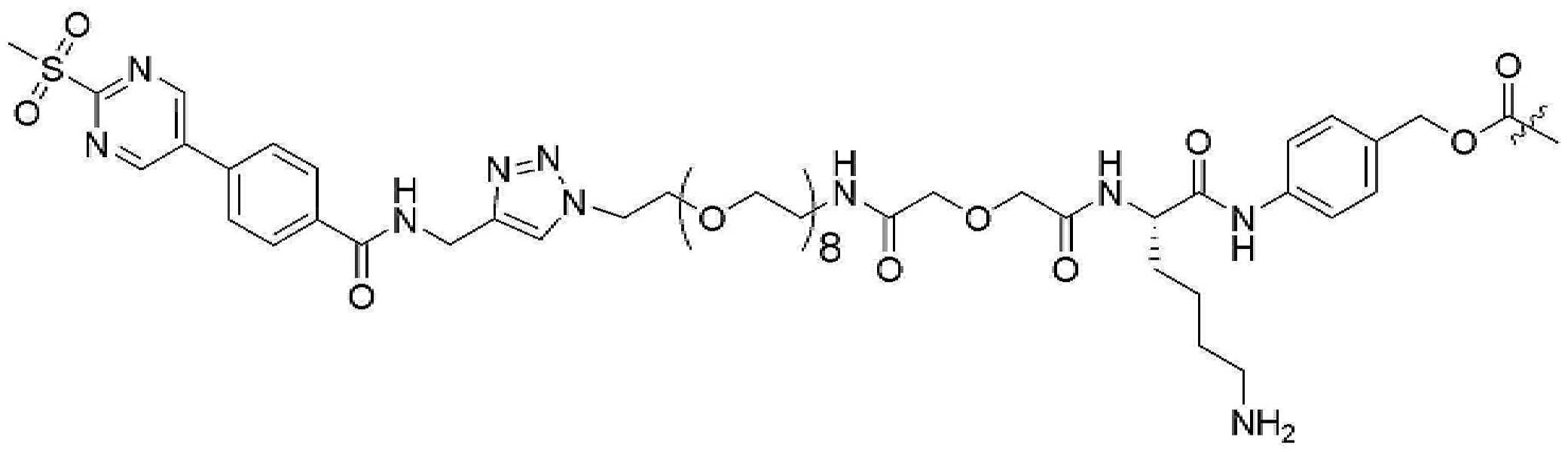 Figure pct00205