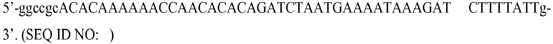Figure imgb0033