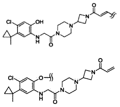 Figure JPOXMLDOC01-appb-C000013