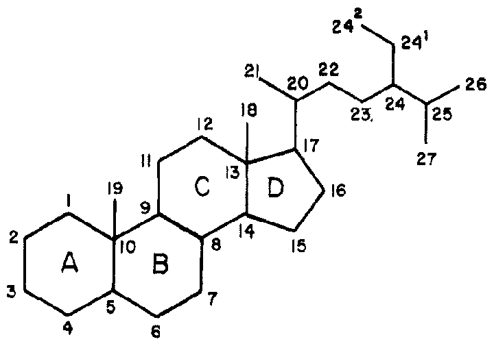 Figure imgf000010_0001