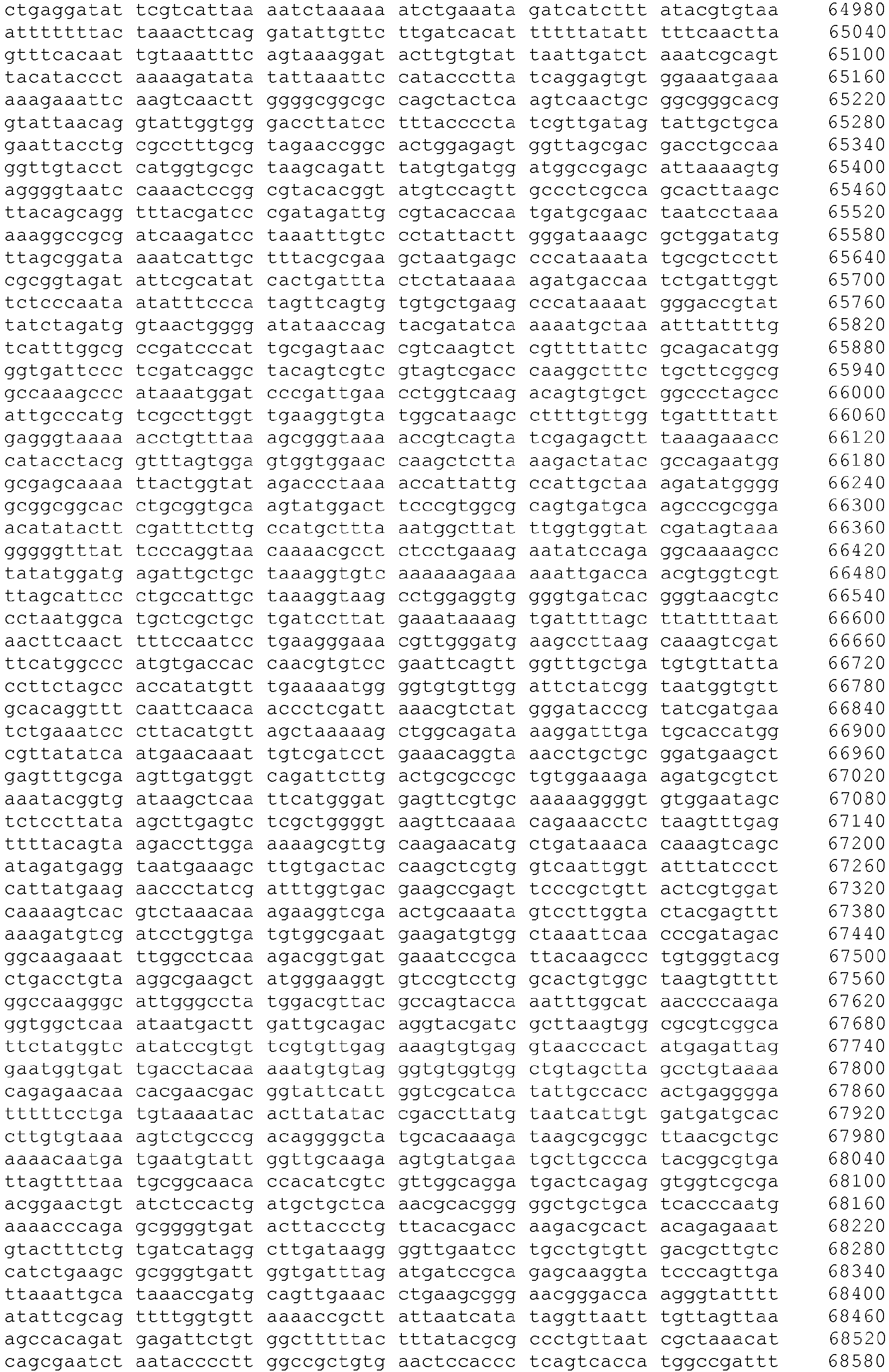 Figure imgb0019