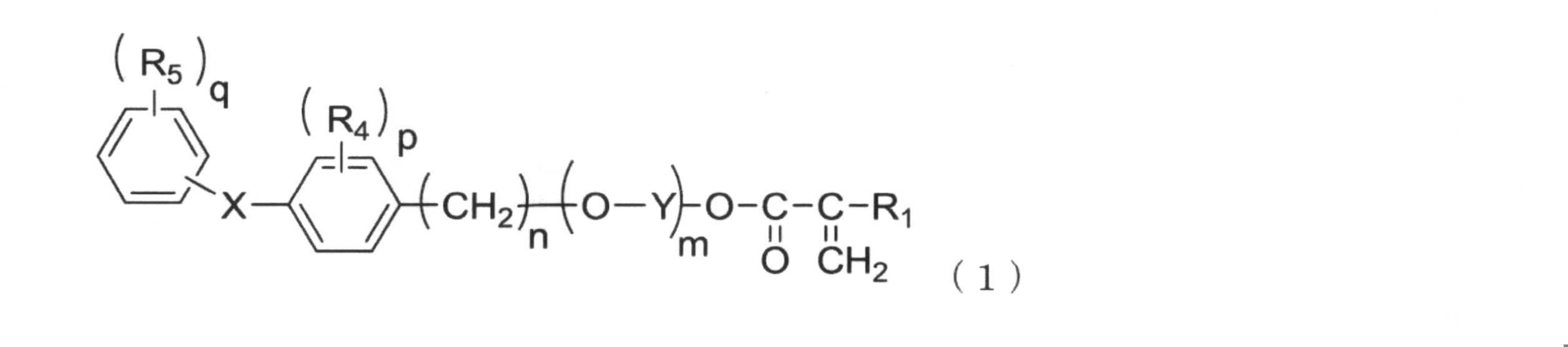 Figure JPOXMLDOC01-appb-C000009
