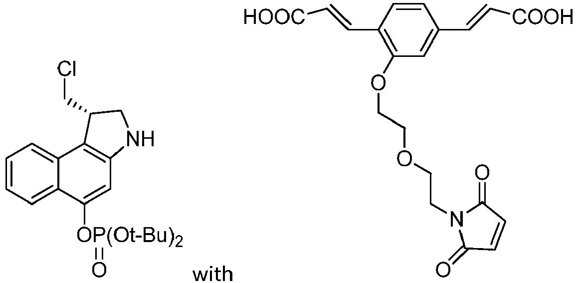 Figure imgb0262