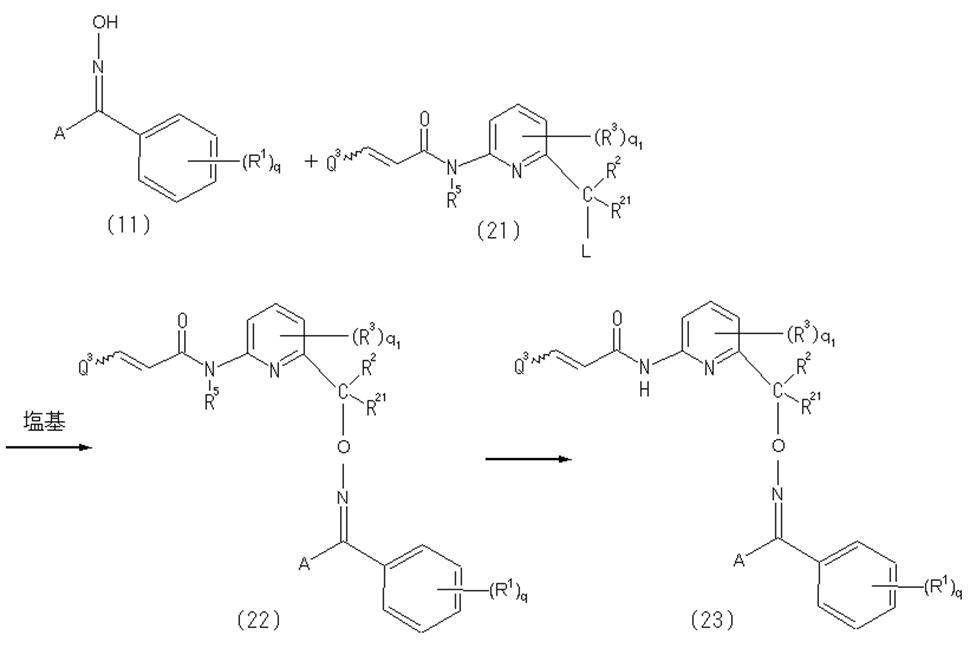 Figure JPOXMLDOC01-appb-C000016