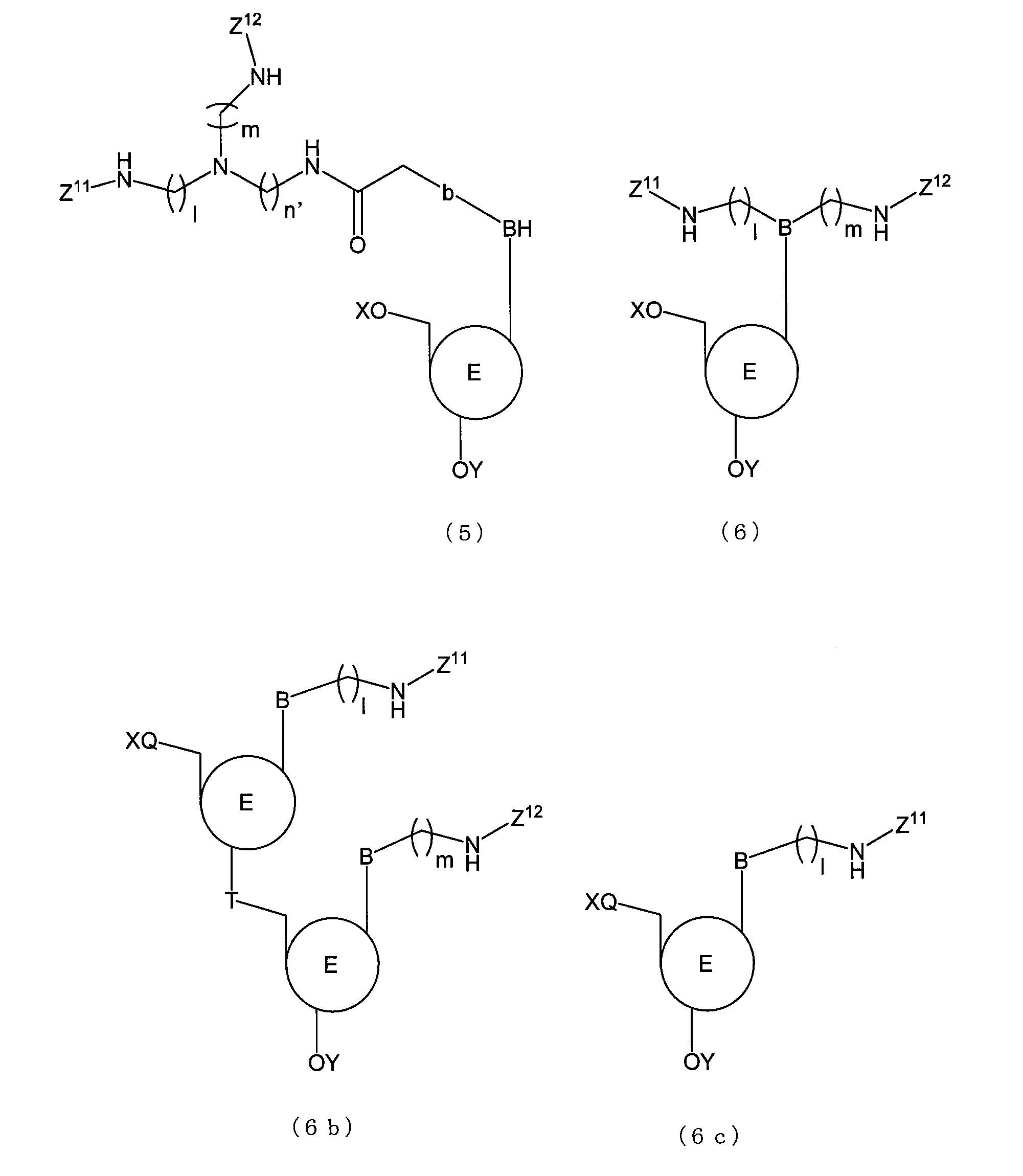 Figure JPOXMLDOC01-appb-C000064