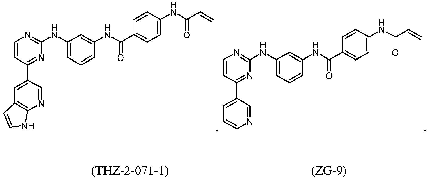 Figure imgb0309