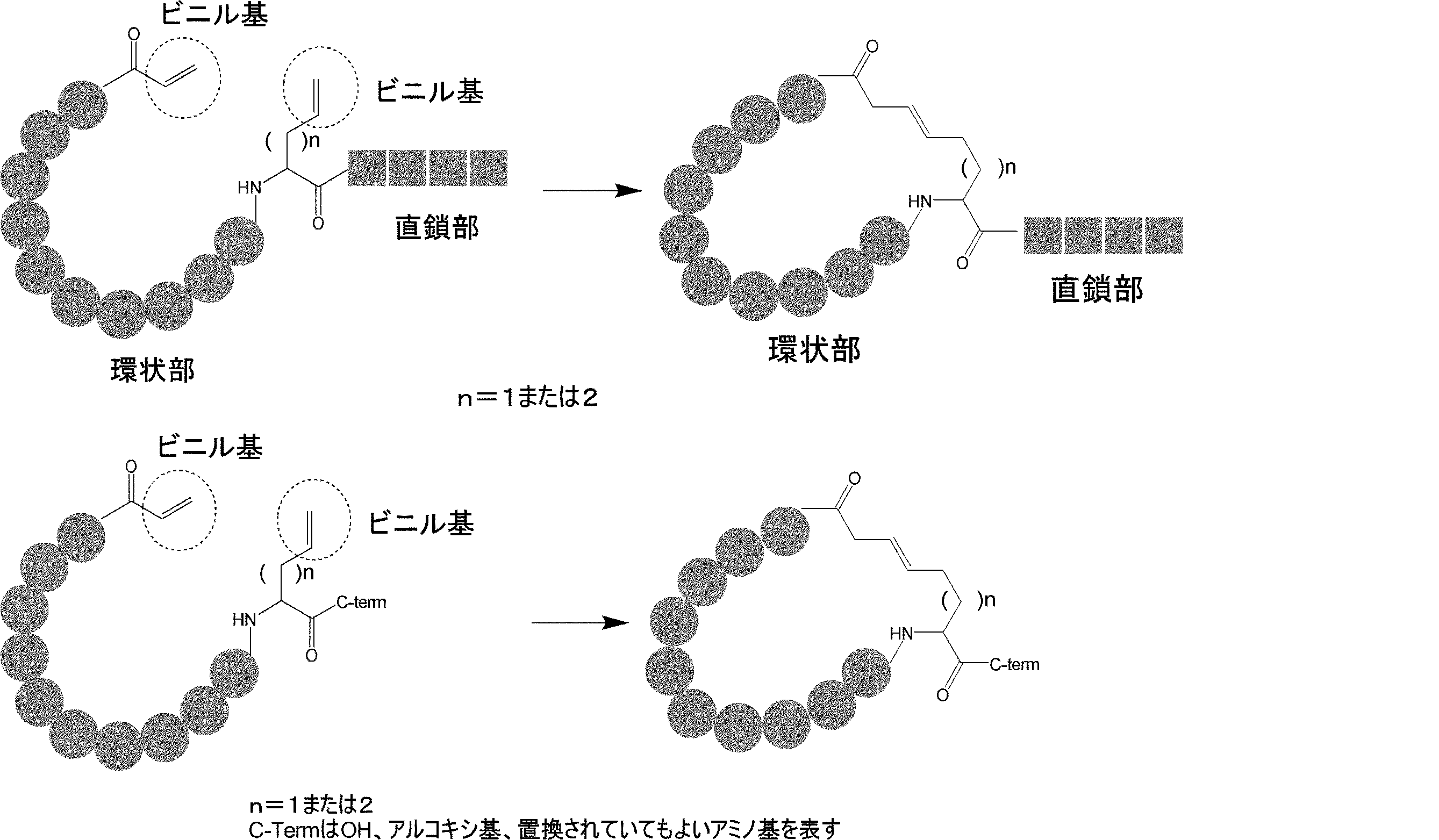 Figure JPOXMLDOC01-appb-I000065