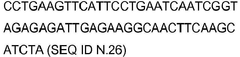Figure imgb0026