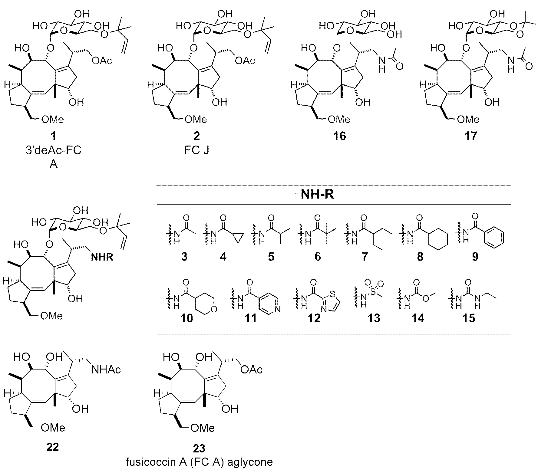Figure JPOXMLDOC01-appb-C000037