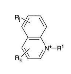 Figure JPOXMLDOC01-appb-C000013