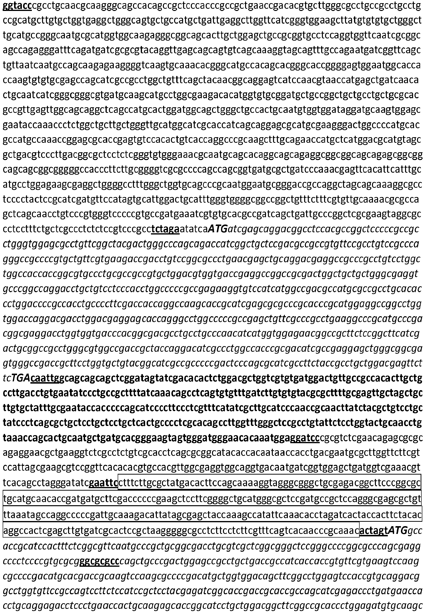 Figure imgb0337