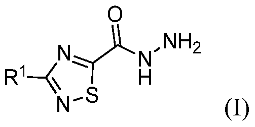 Figure imgf000010_0001