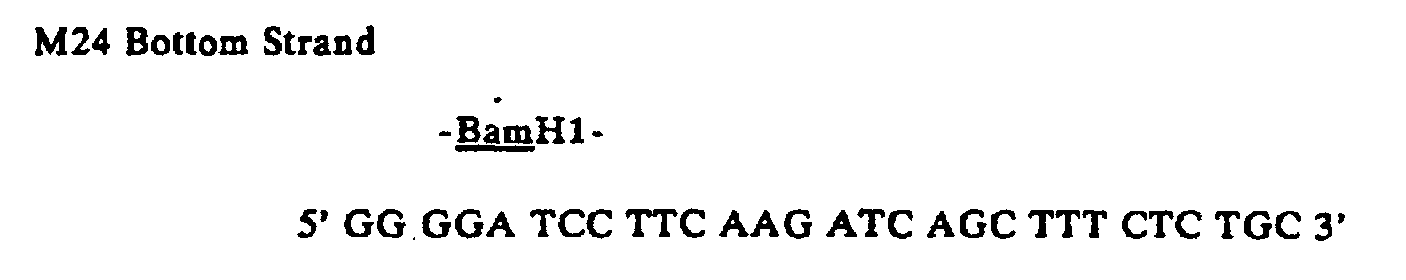 Figure 00200002