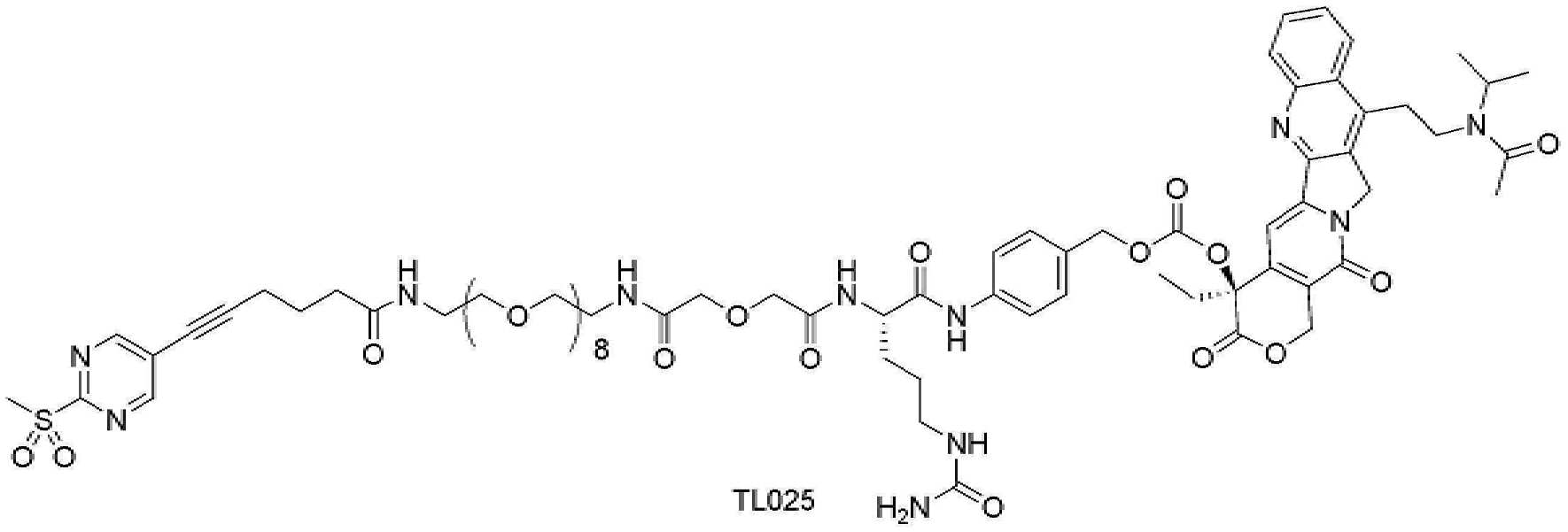 Figure pct01165