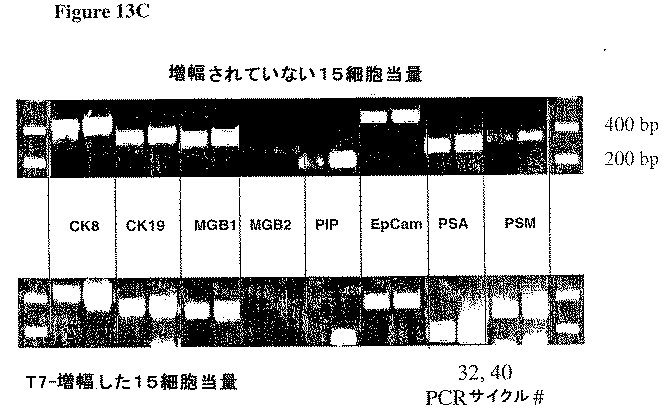 Jp2005507997a Multi Parameter Analysis Of Comprehensive Nucleic Acid And Morphological Features For The Same Sample Google Patents
