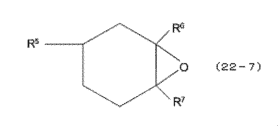 Figure JPOXMLDOC01-appb-C000056