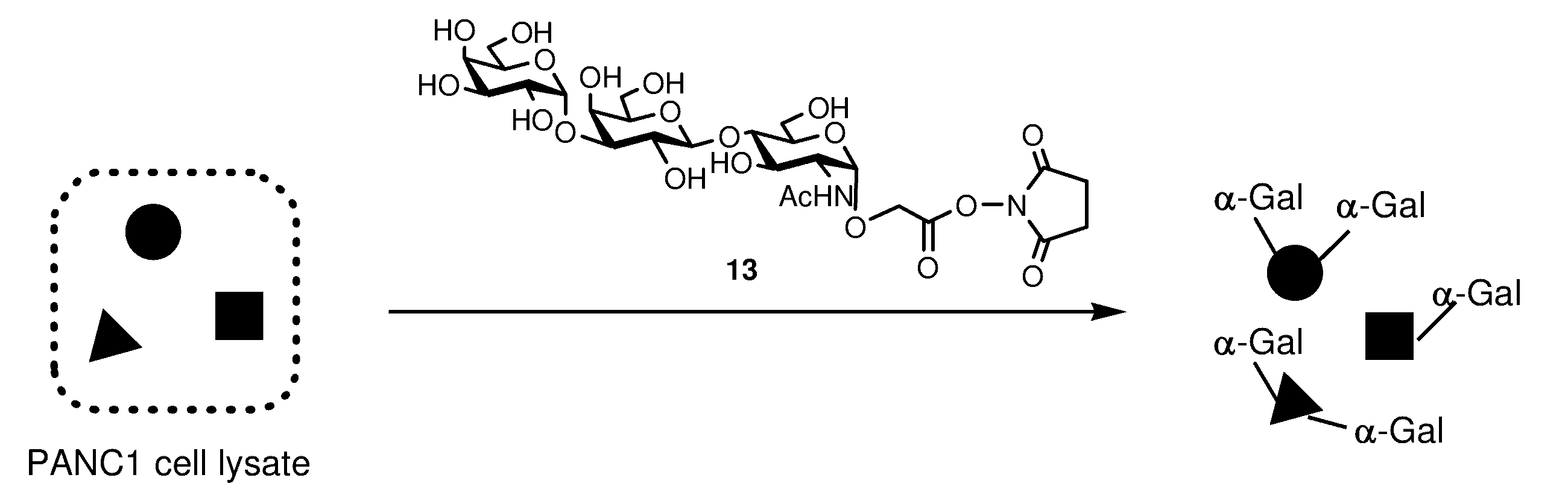 Figure JPOXMLDOC01-appb-C000033