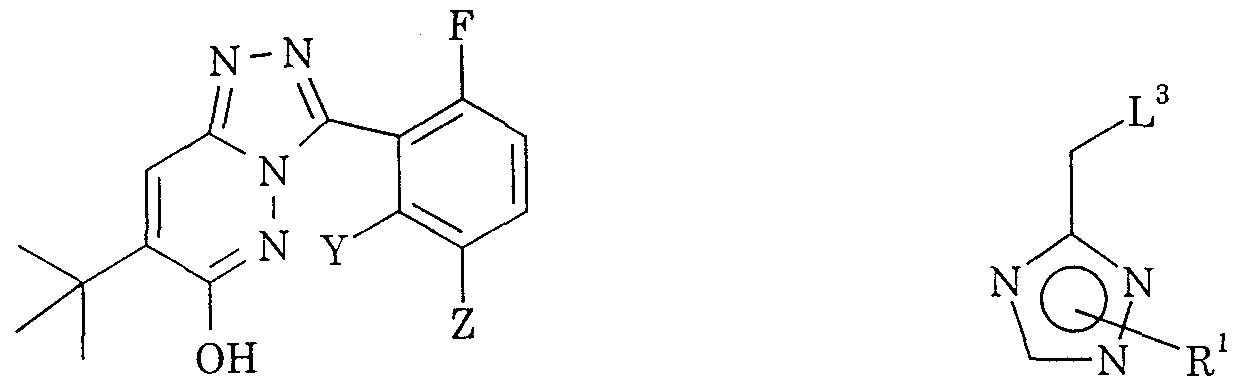 Figure imgf000017_0001