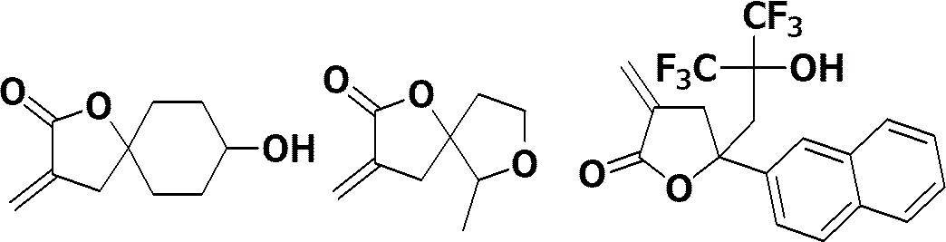 Figure JPOXMLDOC01-appb-C000025