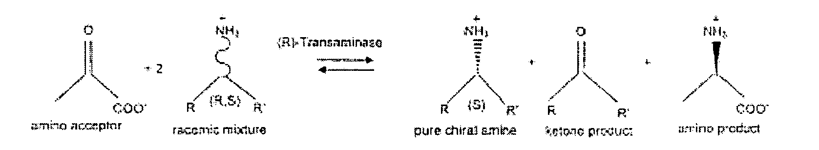 Figure imgb0002