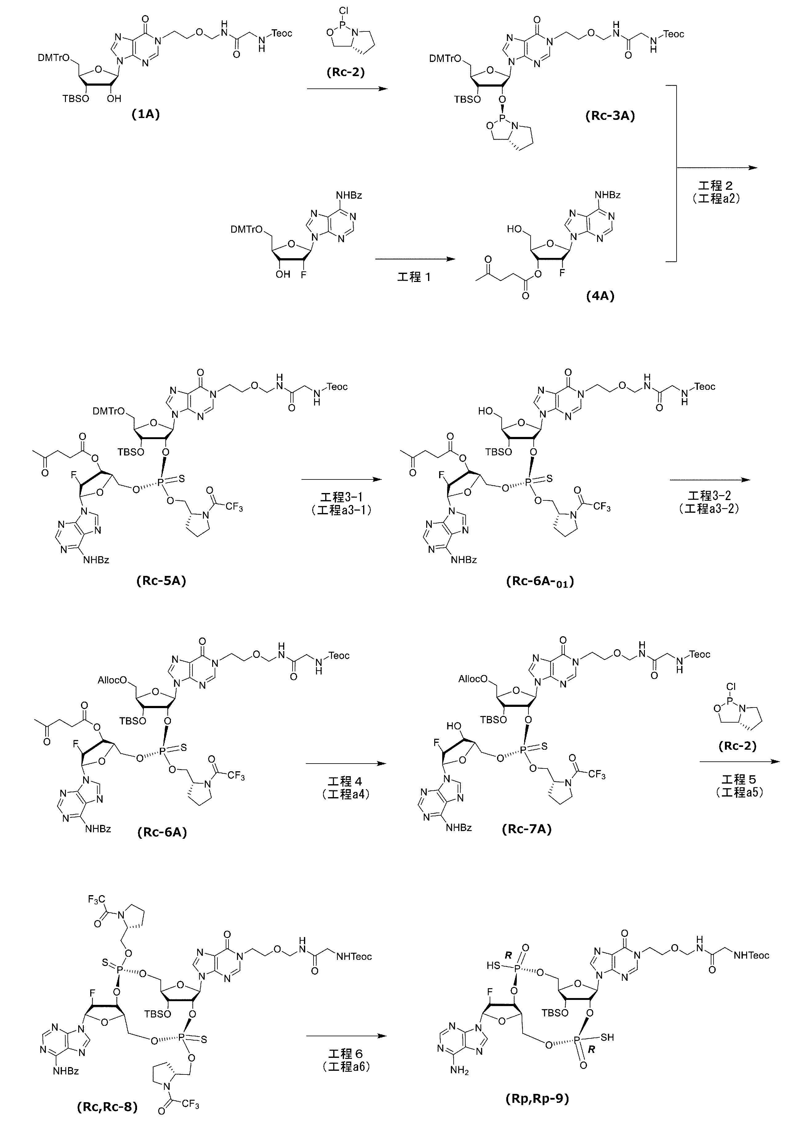 Figure JPOXMLDOC01-appb-C000142