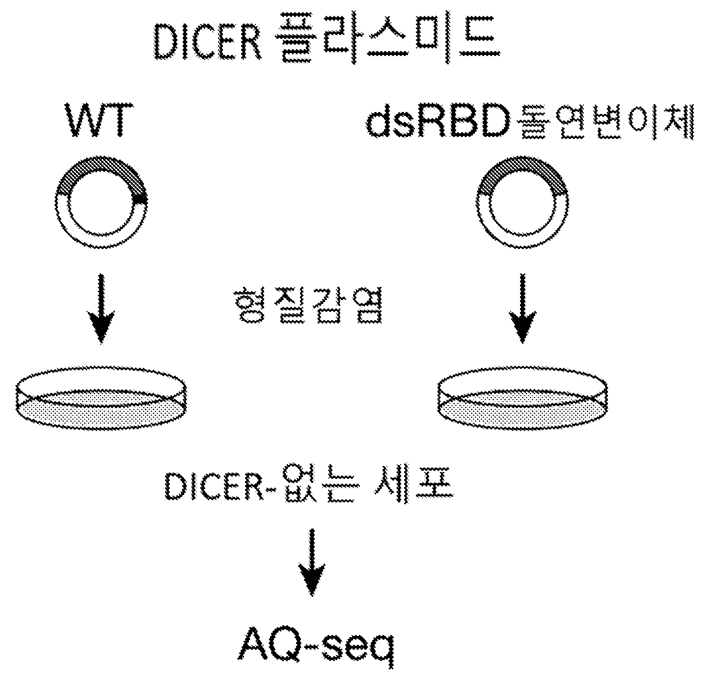 특허 도면 100