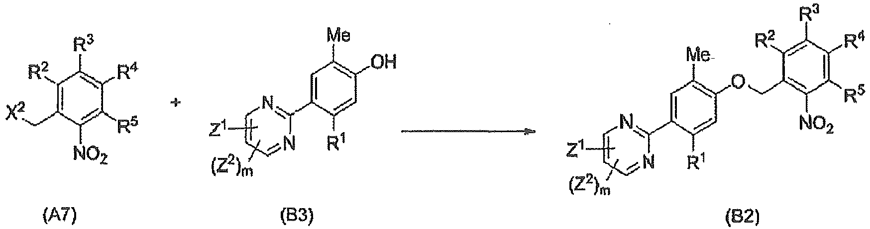 Figure imgb0010