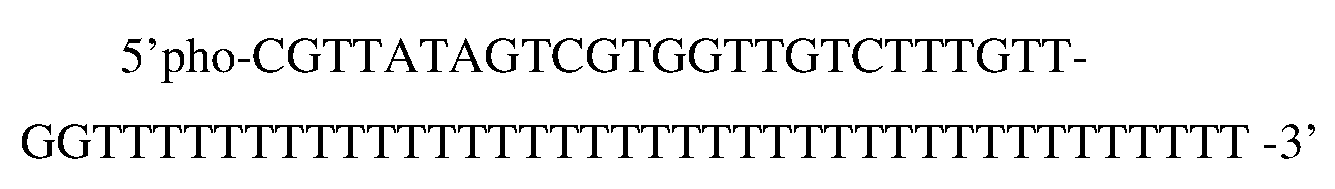 Figure imgb0021