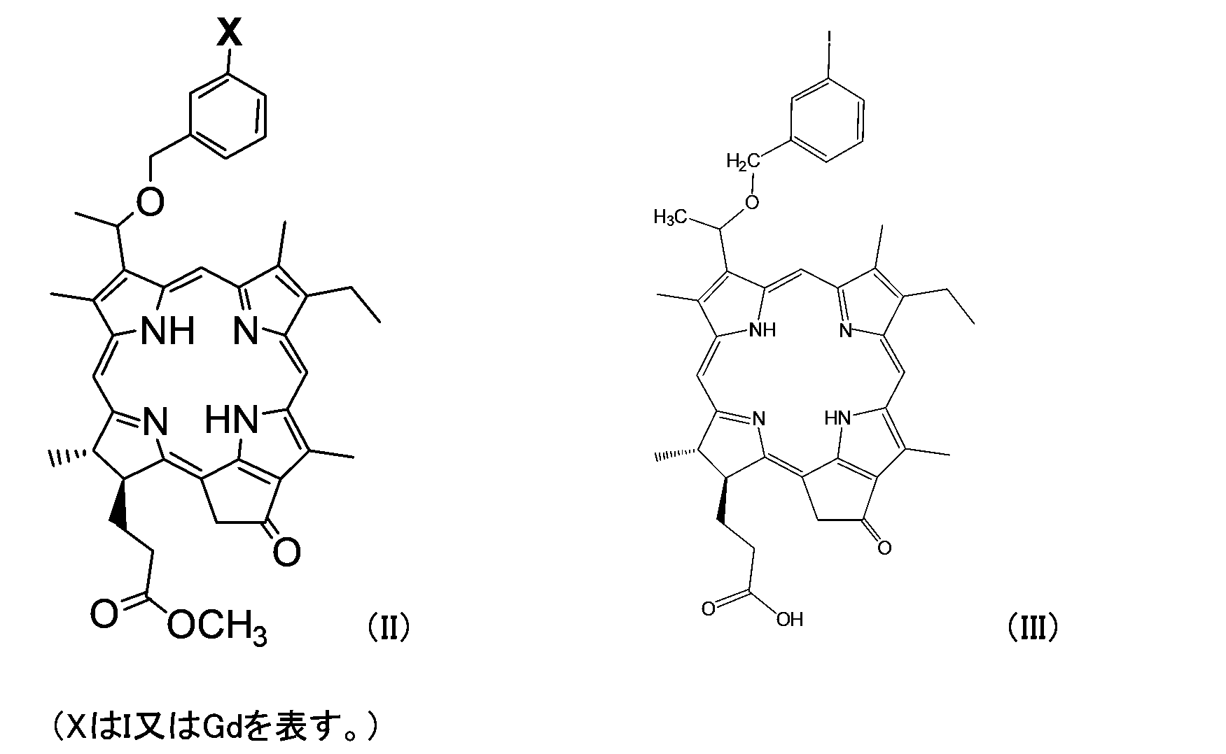 Figure JPOXMLDOC01-appb-C000022