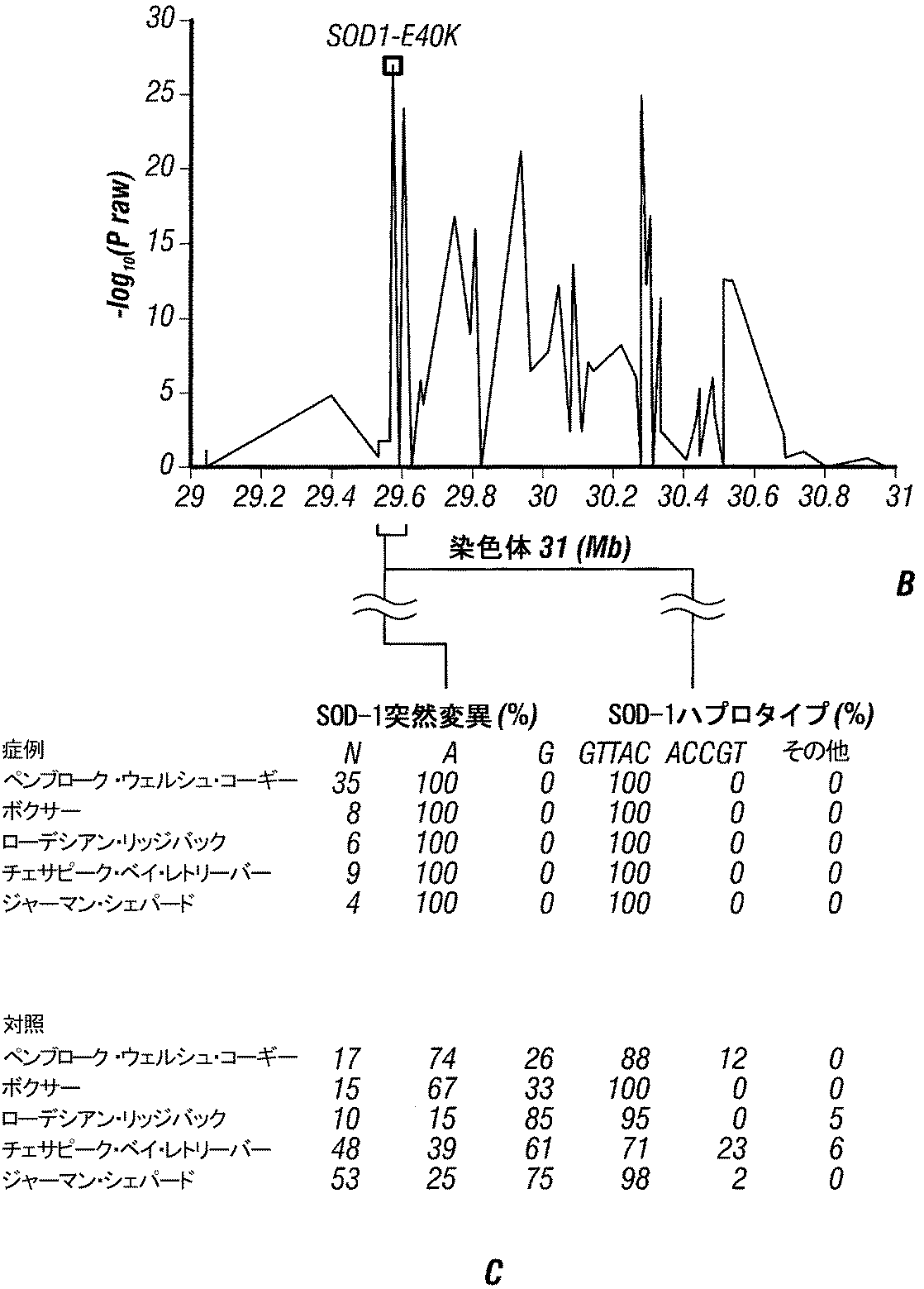 Jpb2 イヌ変性性脊髄症の予測および診断方法 Google Patents Jpb2 イヌ変性性脊髄症の予測および診断方法 Google Patents