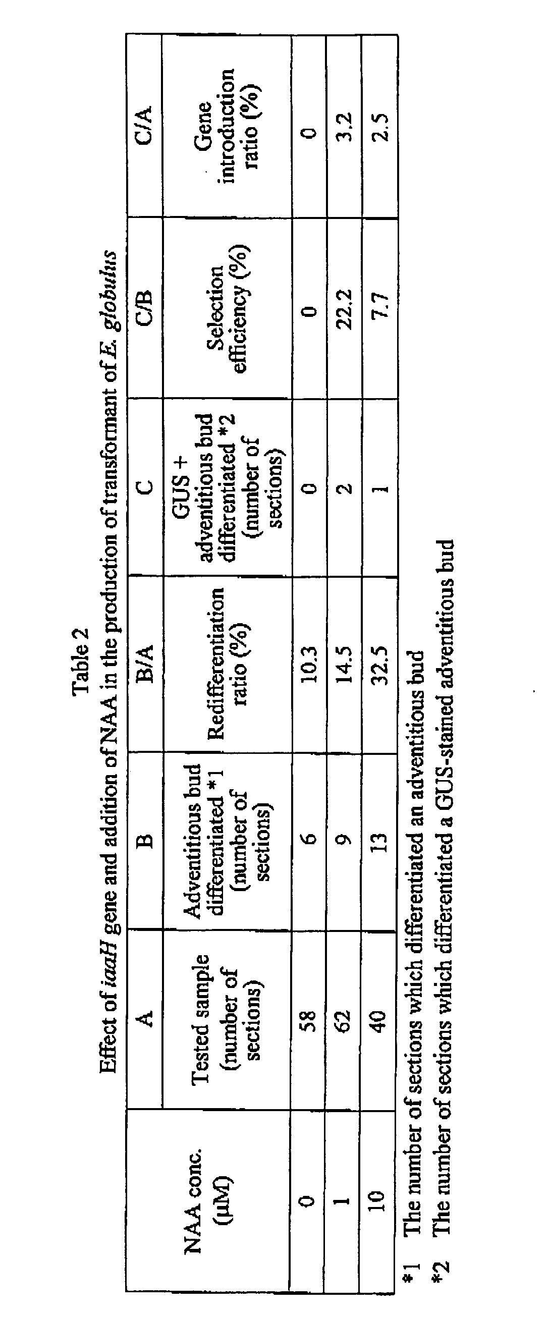 Figure 00190001