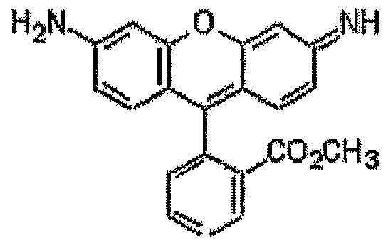 Figure imgf000076_0002