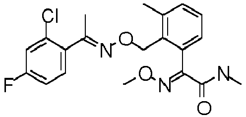 Figure imgb0562