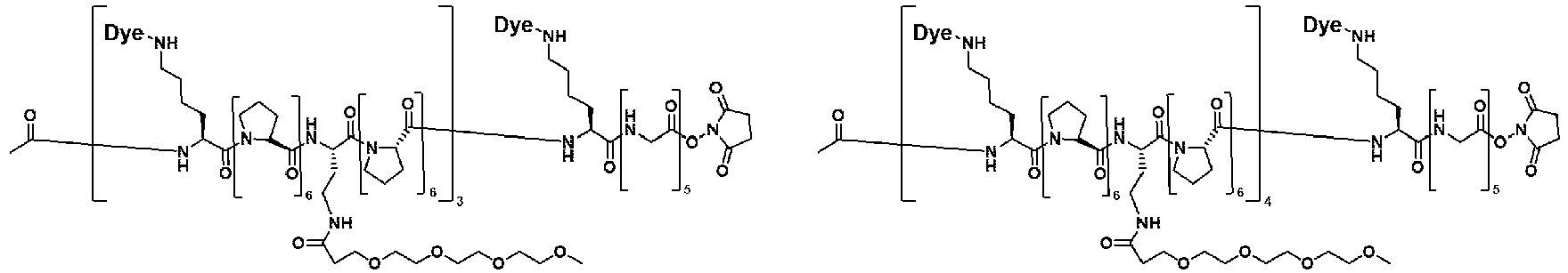 Figure imgb0046