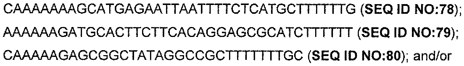 Figure imgf000029_0001