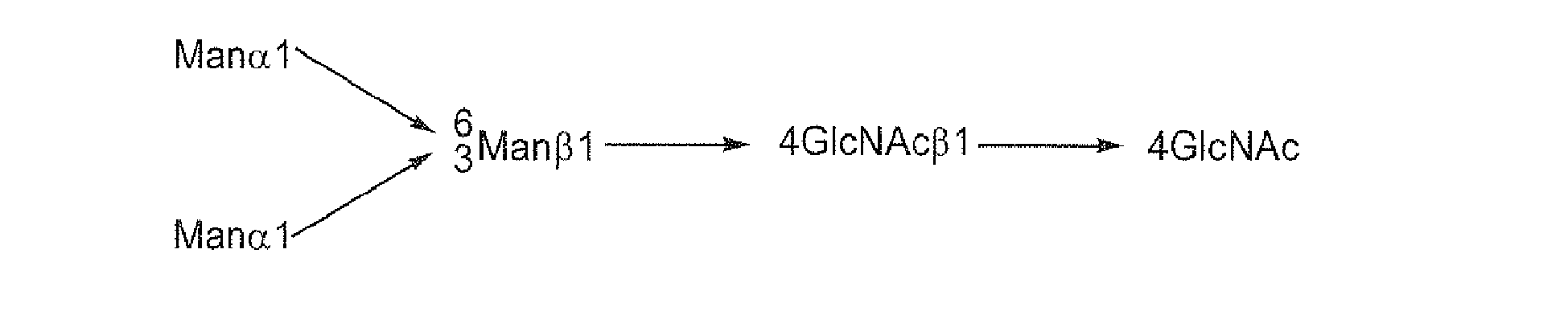 Figure imgb0010